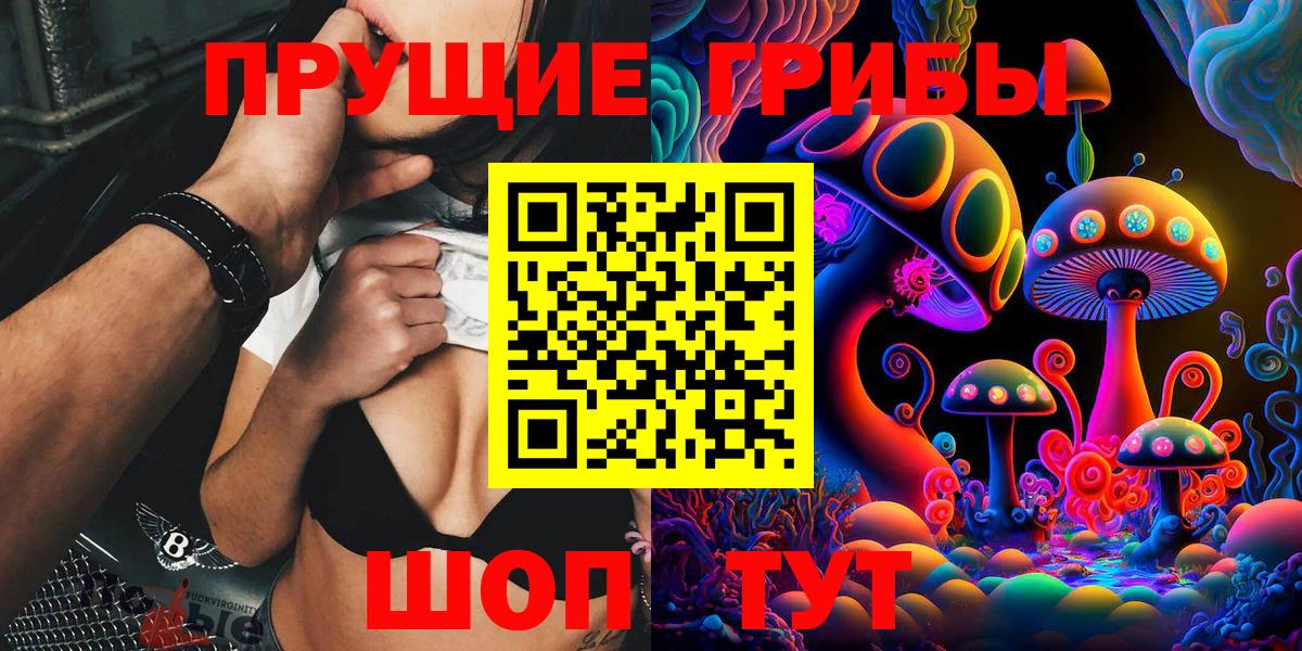 Псилоцибиновые грибы прущие грибы Богданович